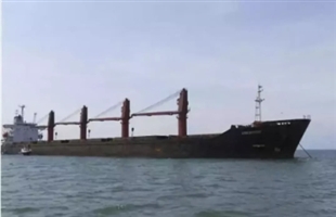 朝鲜最大货船因违反国际制裁遭美国扣押