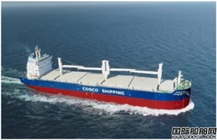 中远海运特运8艘62000吨多用途纸浆船订单敲定