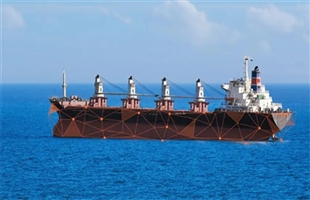 DryDel：RightShip收紧检查船龄门槛或重塑全球干散货船队