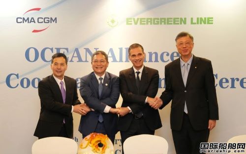 至少五年！海洋联盟四家成员续签合作协议