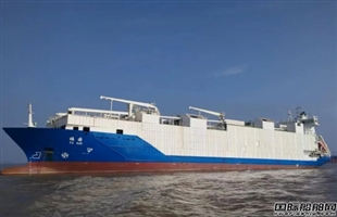 国海创联实业首艘中国籍牲畜运输船入籍洋浦港